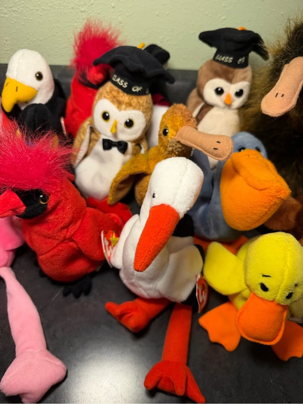 Ty Beanie Babies Bird and Graduation Owl Collection